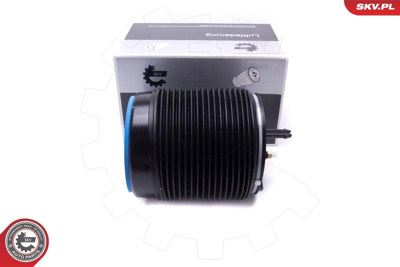 Air Spring, suspension